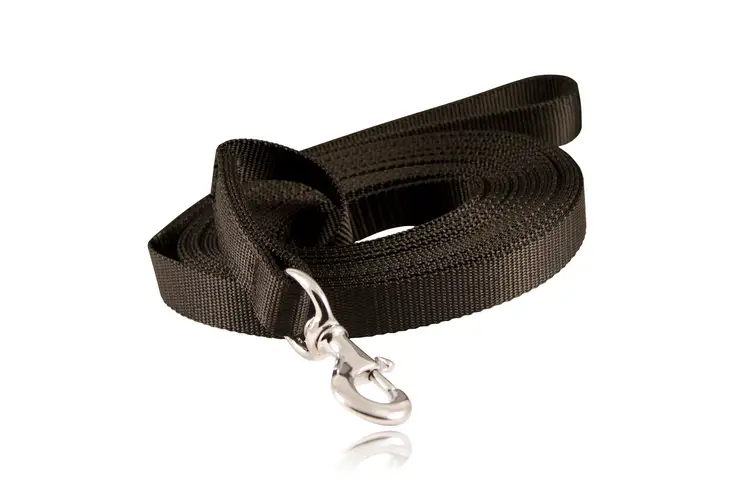 Boston Leather Nylon Tracking Lead 30'